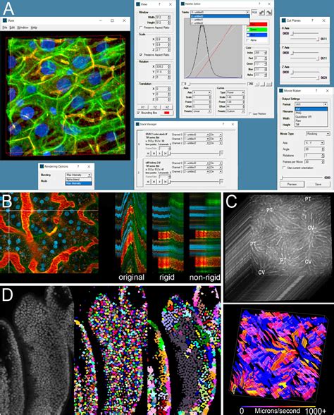Image analysis .